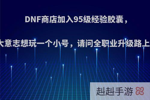 DNF商店加入95级经验胶囊，有多余伟大意志想玩一个小号，请问全职业升级路上谁最麻烦?