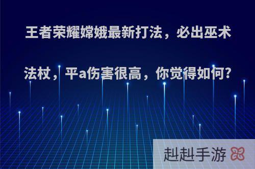 王者荣耀嫦娥最新打法，必出巫术法杖，平a伤害很高，你觉得如何?