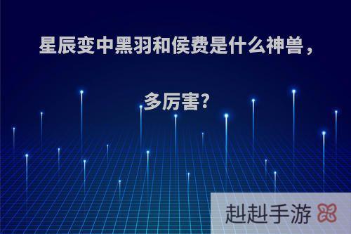 星辰变中黑羽和侯费是什么神兽，多厉害?