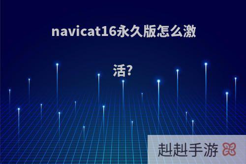 navicat16永久版怎么激活?