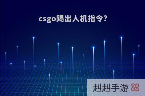 csgo踢出人机指令?