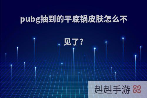 pubg抽到的平底锅皮肤怎么不见了?