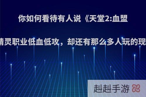 你如何看待有人说《天堂2:血盟》精灵职业低血低攻，却还有那么多人玩的现象?