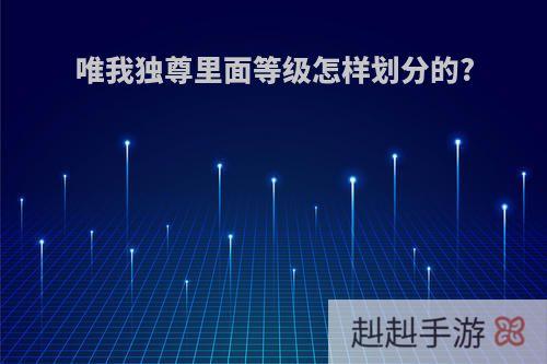 唯我独尊里面等级怎样划分的?