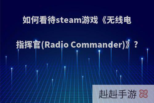 如何看待steam游戏《无线电指挥官(Radio Commander)》?