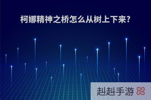 柯娜精神之桥怎么从树上下来?
