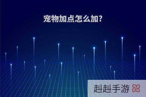 宠物加点怎么加?