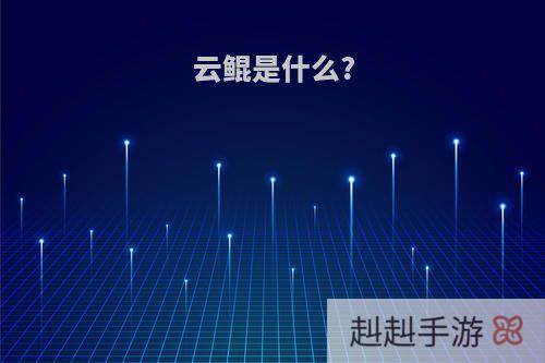 云鲲是什么?