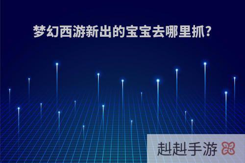 梦幻西游新出的宝宝去哪里抓?