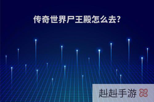 传奇世界尸王殿怎么去?