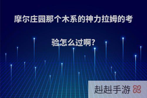 摩尔庄园那个木系的神力拉姆的考验怎么过啊?