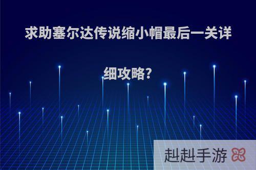 求助塞尔达传说缩小帽最后一关详细攻略?