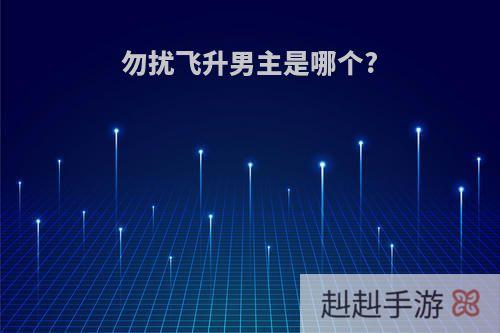 勿扰飞升男主是哪个?