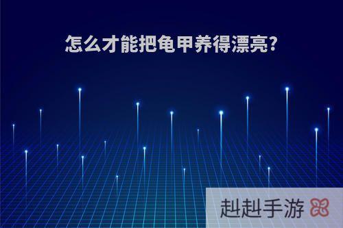 怎么才能把龟甲养得漂亮?