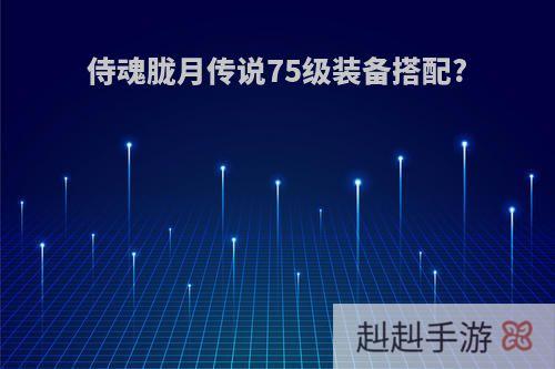 侍魂胧月传说75级装备搭配?