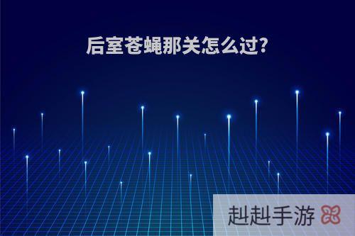 后室苍蝇那关怎么过?
