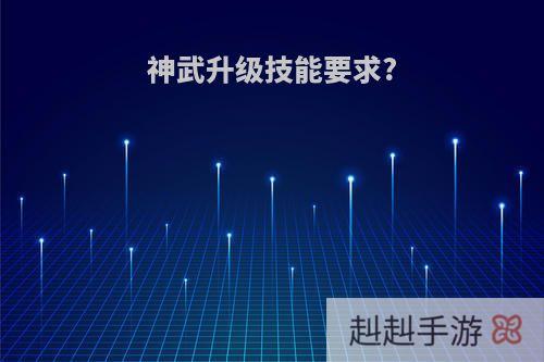 神武升级技能要求?