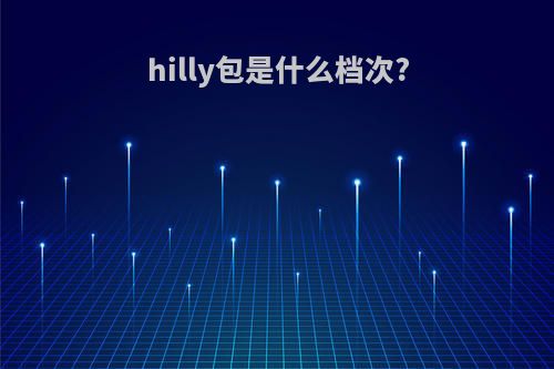 hilly包是什么档次?