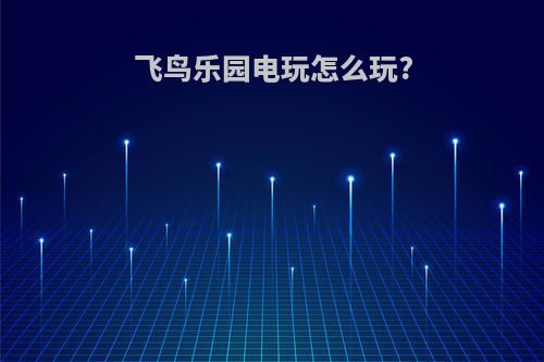 飞鸟乐园电玩怎么玩?