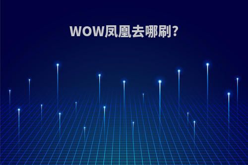 WOW凤凰去哪刷?