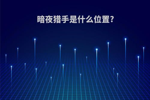 暗夜猎手是什么位置?