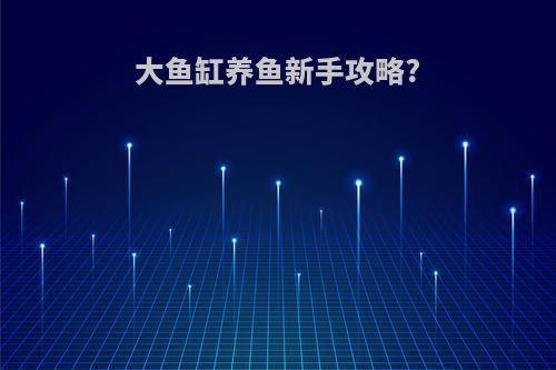 大鱼缸养鱼新手攻略?