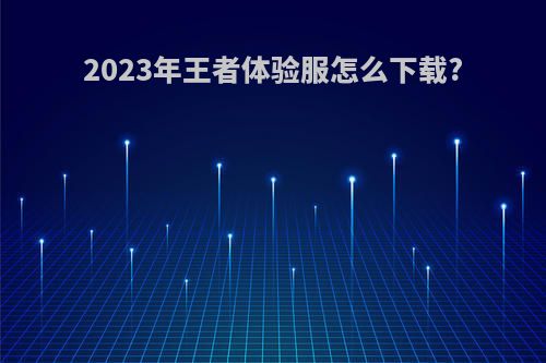 2023年王者体验服怎么下载?