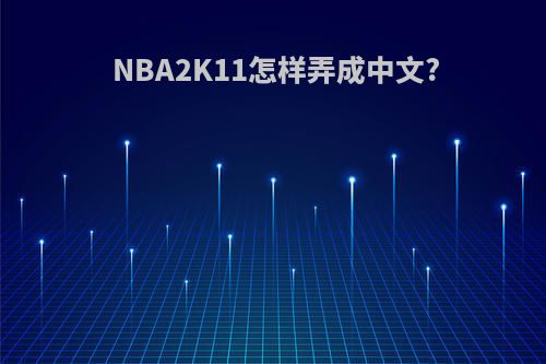 NBA2K11怎样弄成中文?