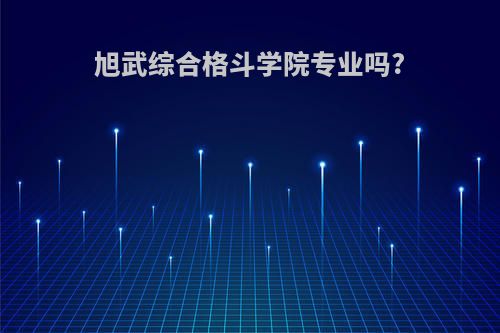 旭武综合格斗学院专业吗?