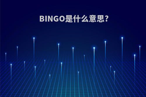 BINGO是什么意思?