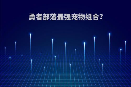 勇者部落最强宠物组合?