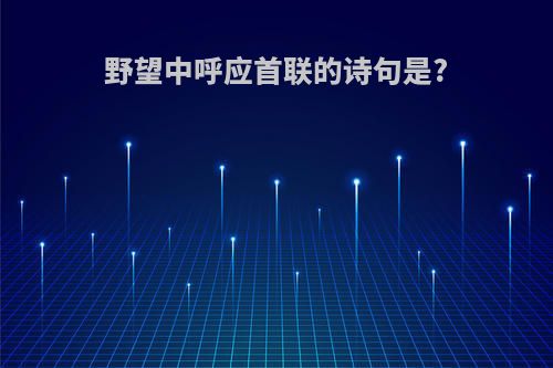 野望中呼应首联的诗句是?