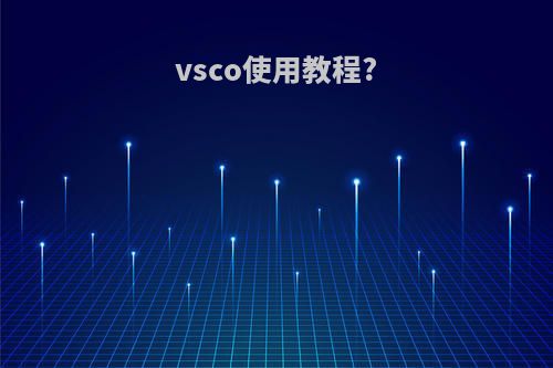 vsco使用教程?