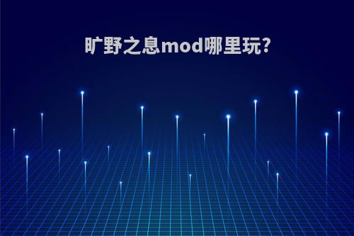 旷野之息mod哪里玩?