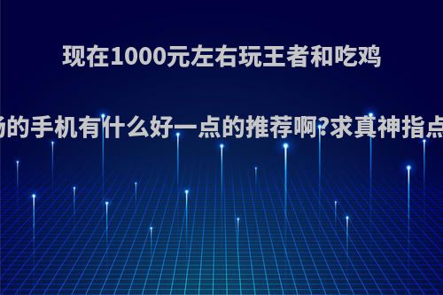 现在1000元左右玩王者和吃鸡都流畅的手机有什么好一点的推荐啊?求真神指点一二?