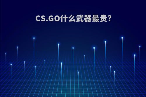 CS.GO什么武器最贵?