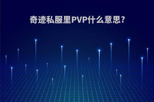 奇迹私服里PVP什么意思?