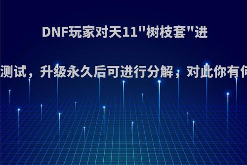 DNF玩家对天11