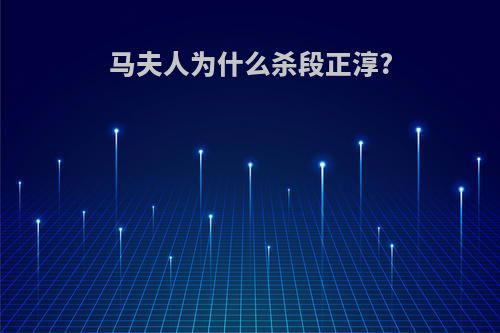 马夫人为什么杀段正淳?