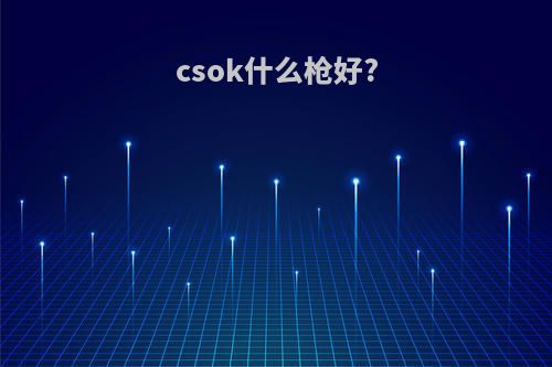 csok什么枪好?