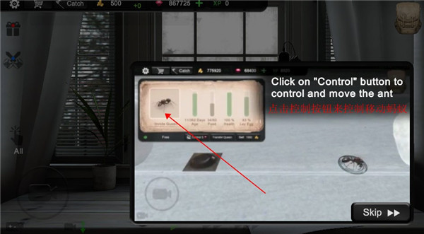 3d蚂蚁模拟器新手指南
