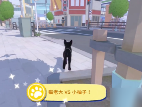 小猫咪大城市猫老大VS小柚子攻略