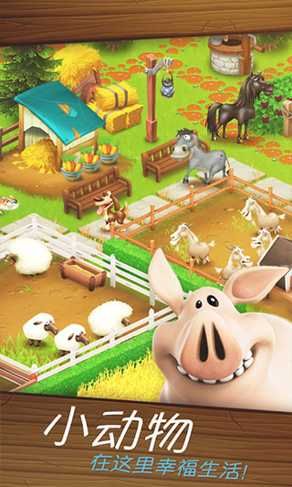 hayday