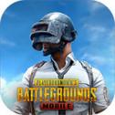 pubgmobile国际服