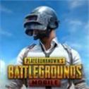 绝地求生国际服pubg